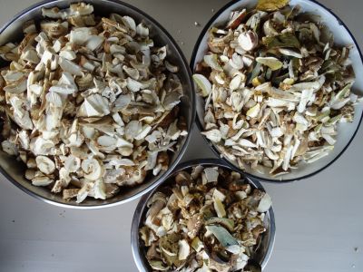 DSC01571-Sommersteinpilze-in-Schüssel.JPG