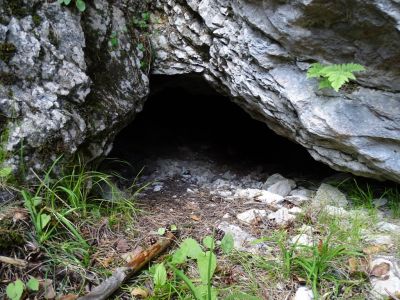 DSC02061-Bärenhöhle.JPG