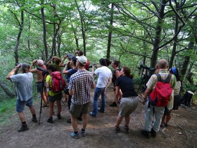 DSC02141-Bärenbeobachten.JPG