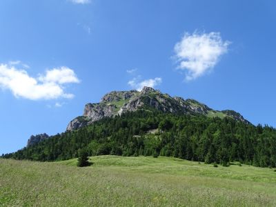 DSC02507.JPG
