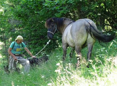 DSC02535-Hirte.JPG