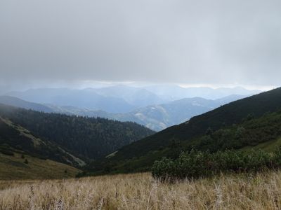 DSC03653.JPG