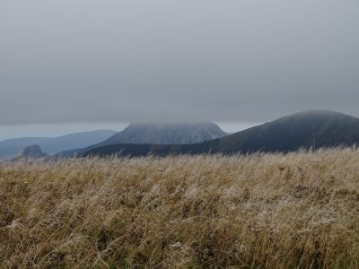 DSC03654.JPG
