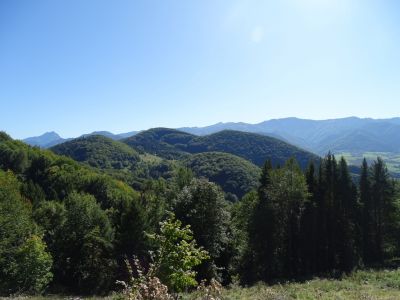 DSC03795.JPG
