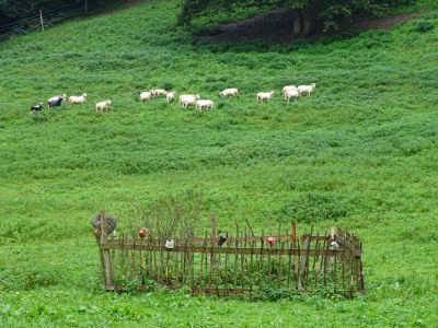 DSC03895-ursprungliche-Valaska.JPG