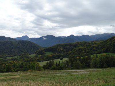 DSC04106.JPG