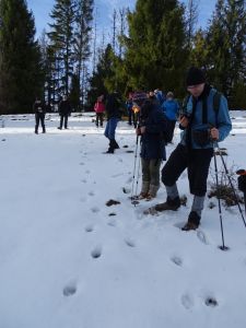DSC04664-frische-Wolfsspuren.JPG