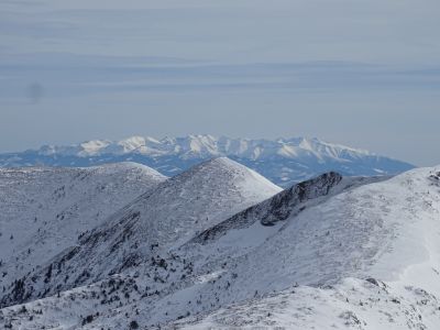 DSC04683-die-Hohe-Tatra-in-Hintergrund.JPG