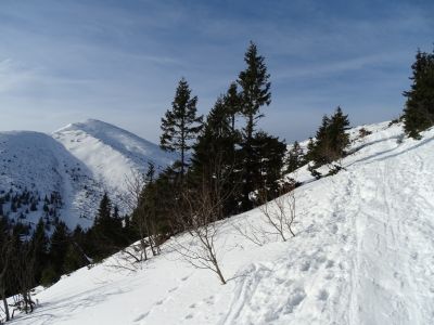 DSC04717.JPG