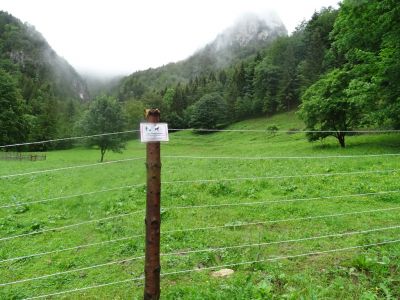 DSC05725-Wolfssichere-Zaun.JPG