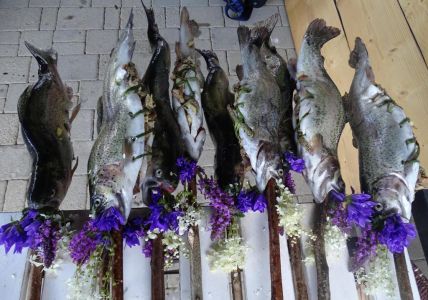 DSC06375-Forelen-A-la-Vlado.JPG