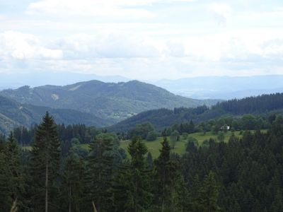 DSC06442.JPG