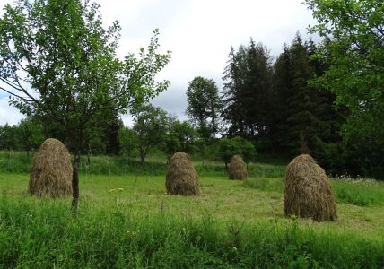 DSC06534-die-Heuständer.JPG