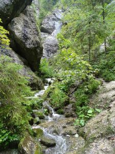 DSC07028.JPG