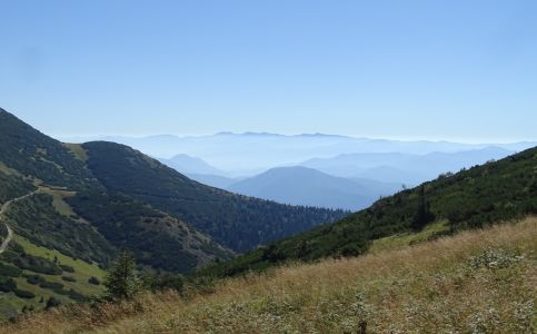 DSC07094.JPG