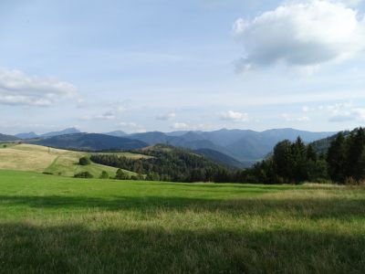 DSC07292.JPG