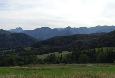 DSC07567.JPG
