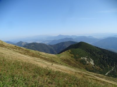 DSC07658.JPG