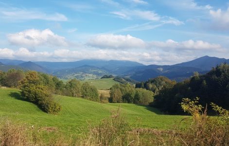 20201002_150319.jpg