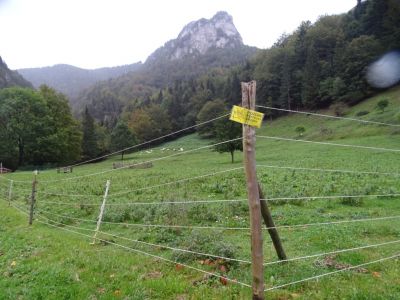 DSC07906-Wolfssicherer-Zaun.JPG