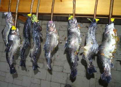 DSC07914-Forelle-a-la-Vlado.JPG