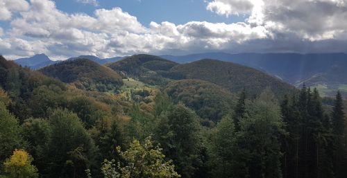 1_20201004_113046.jpg