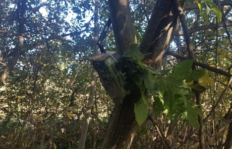 1_20201006_143357.jpg