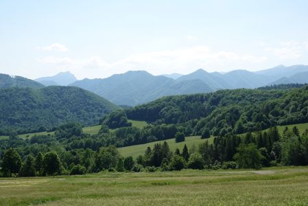 dsc01814.jpg