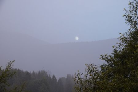 dsc01966.jpg
