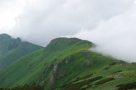 dsc02045.jpg