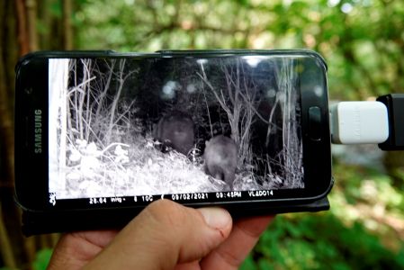 _dsc3463_b_ren_aus_der_fotofalle.jpg