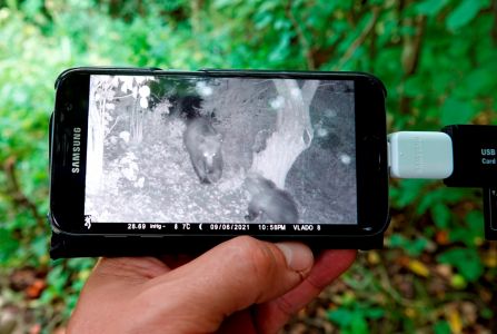 _dsc3474_b_ren_aus_der_fotofalle.jpg