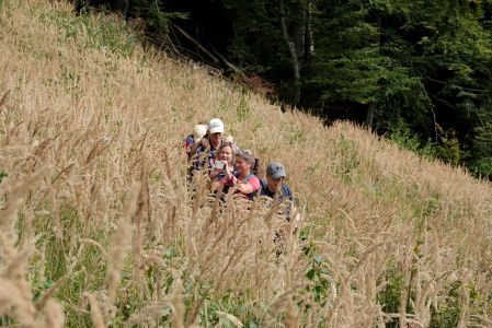 _dsc3714_gruppe_in_strau_gras.jpg