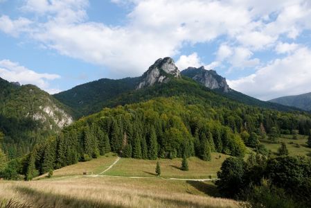 _dsc3784.jpg