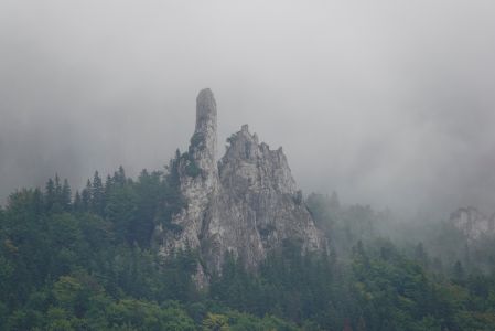 _dsc4150_der_stinkefinger.jpg