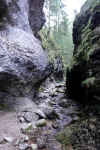 _dsc4655.jpg