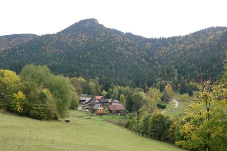 _dsc4660.jpg