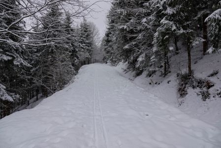 _dsc4928.jpg