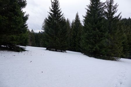 _dsc4989.jpg