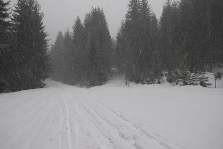 _dsc5036.jpg