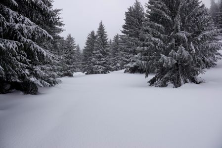 _dsc5074.jpg
