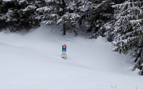 _dsc5083.jpg
