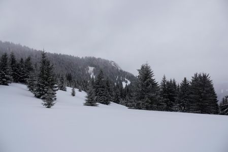 _dsc5084.jpg