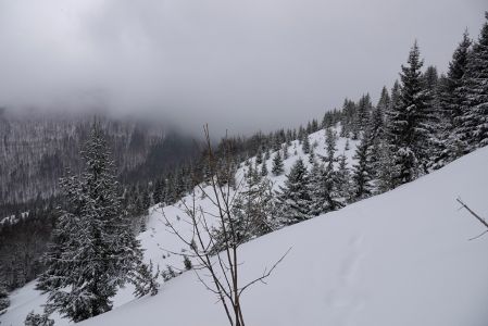 _dsc5088.jpg