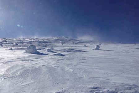 _dsc5104.jpg