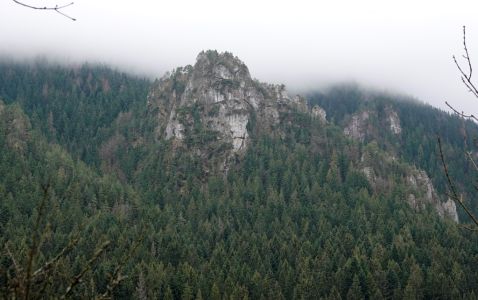 _dsc5367.jpg