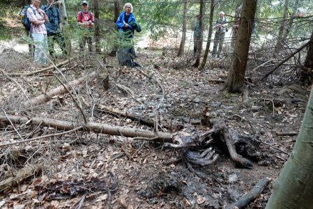 _dsc5599_wolfsrissreste_von_einer_hirschkuh.jpg