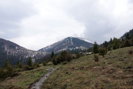 _dsc5762_stoh.jpg