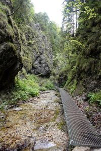 _dsc6414.jpg