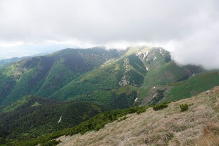 _dsc6658.jpg